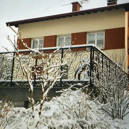In Gerardmer, With Wonderful View, Furnished Garden And Wi Apartment Gerardmer