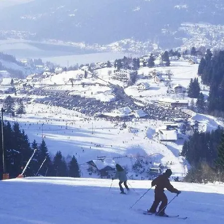 Apartment In Gerardmer, With Wonderful View, Furnished Garden And Wi