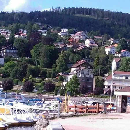 In Gerardmer, With Wonderful View, Furnished Garden And Wi Apartment *