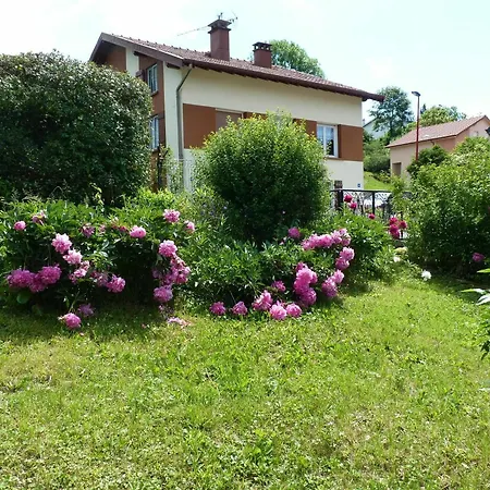 In Gerardmer, With Wonderful View, Furnished Garden And Wi Apartment *